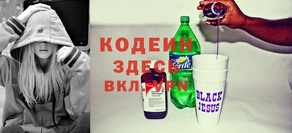 крисы Верхний Тагил