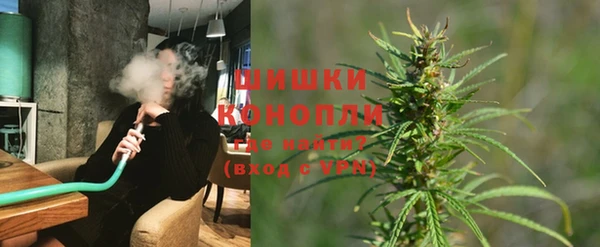 крисы Верхний Тагил