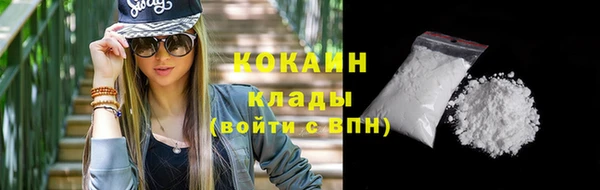 крисы Верхний Тагил