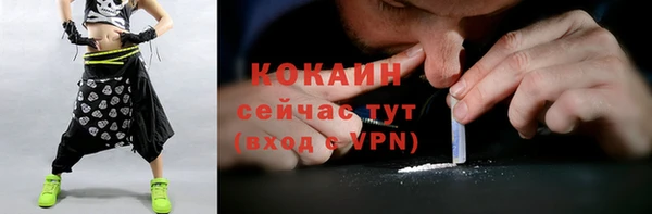 крисы Верхний Тагил