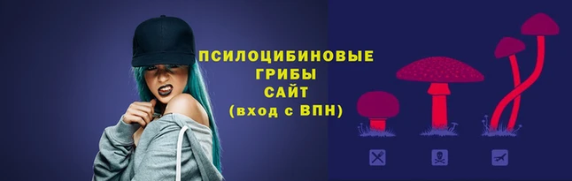 крисы Верхний Тагил