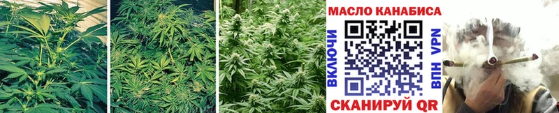 ТГК THC oil Камызяк